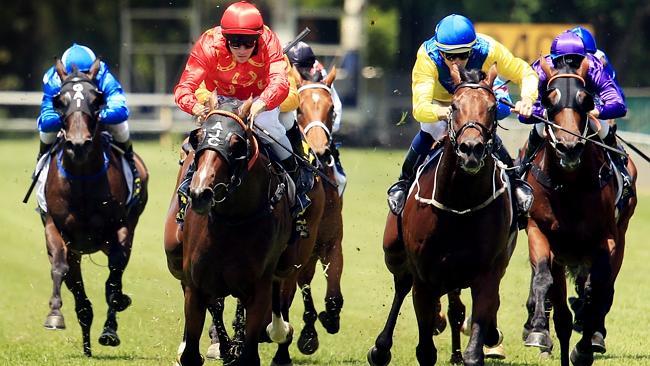 Warwick Farm races