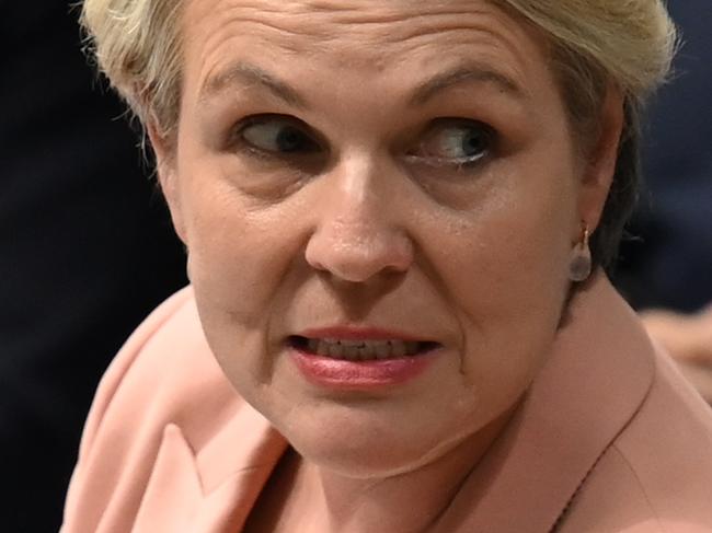 CANBERRA, AUSTRALIA, NewsWire Photos. FEBRUARY 13, 2024: Minister for Environment and Water Tanya Plibersek during Question Time at Parliament House in Canberra. Picture: NCA NewsWire / Martin Ollman