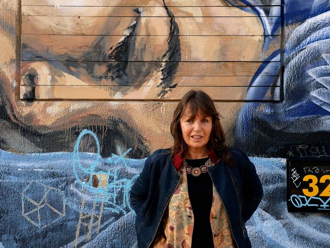 f Catherine De Saint Phalle, a Brunswick art curator and author of the forthcoming book, On Brunswick Ground. The book is set in Brunswick and follows a group of women who discover how tragedy can tighten the bond of a community. Picture: Adam Elwood