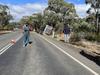 Sheep killed in horror truck rollover near Bendigo
