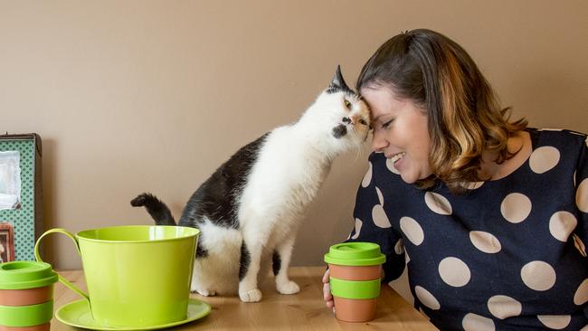 Anita Loughran opened a cat cafe in Melbourne last year. Picture: Jason Edwards