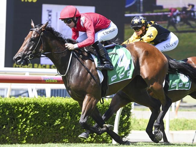 Cross Your Heart can brong up a hat-trick when she heads to Gosford on Thursday. Picture: Bradley Photos