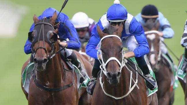 Winx hasn’t tasted defeat in almost four years, winning 31 successive races, including 23 Group 1s. Picture: AAP 