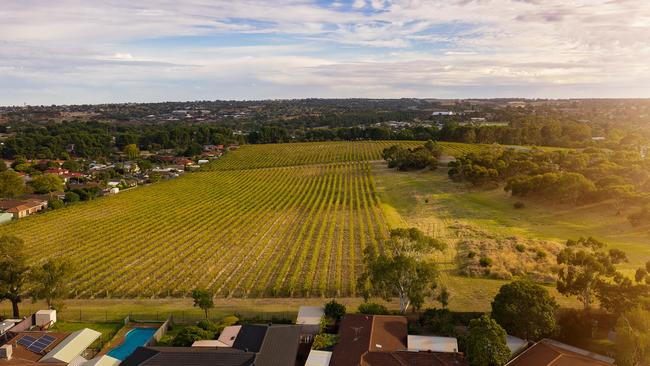 The former Hardy's winery site in Old Reynella, where Tarac Properties is planning a housing development with 245 homes, known as Hurtle Grove. Supplied by Tarac Properties