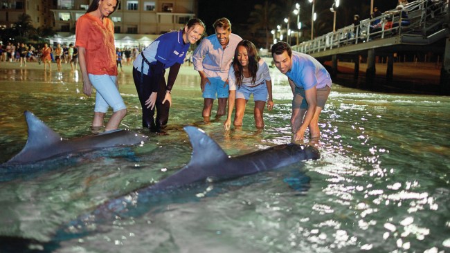 <h2>9. Bottlenose dolphins: Tangalooma Beach, Moreton Island (Mulgumpin), Qld</h2><p>For the Quandamooka people, buangan (dolphins) are a sacred totem, having shared an emotional and cooperative bond with the marine mammals for thousands of years before European settlement of Moreton Bay. It&rsquo;s with this same respect that eco-rangers at <a href="https://www.tangalooma.com/dolphins-conservation" target="_blank" rel="noopener">Tangalooma Island Resort</a> have been safely hand-feeding wild dolphins since the early 1990s. The dolphins, which are known by name, arrive at Tangalooma Beach just after sunset when they&rsquo;re fed a maximum of 10 to 20 per cent of their daily food requirement. The experience is backed by an extensive marine education program and only available to overnight guests and select day tours.&nbsp;</p><p>Picture: Tourism and Events Queensland</p>