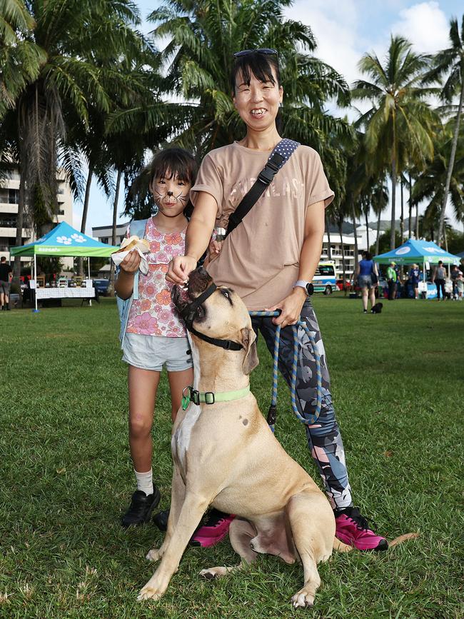 Mikoto Boyd, 7, Meg Magumi and Wasabe have a sausage snack before the start of the RSPCA's Million Paws Walk fundraiser, held along the Cairns Esplanade. Picture: Brendan Radke