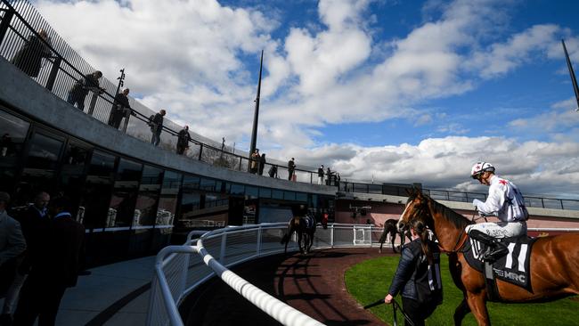 Horses parade in the controversial new mounting yard at Caulfield. Picture: Vince Caligiuri / Getty Images