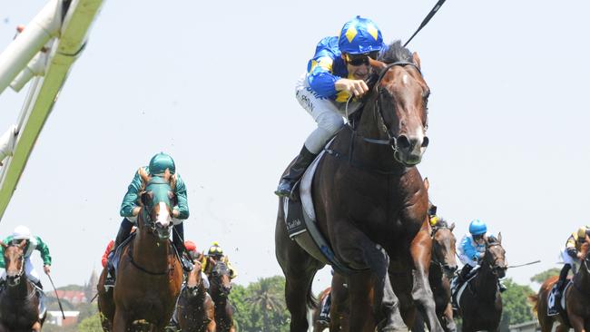 Jockey Blake Shinn rides Dawn Passage to victory in race 1, the Australian Turf Club Handicap during Australia Day At Royal Randwick Race Day at Royal Randwick Racecourse in Sydney, Saturday, January 26, 2019. (AAP Image/Simon Bullard) 