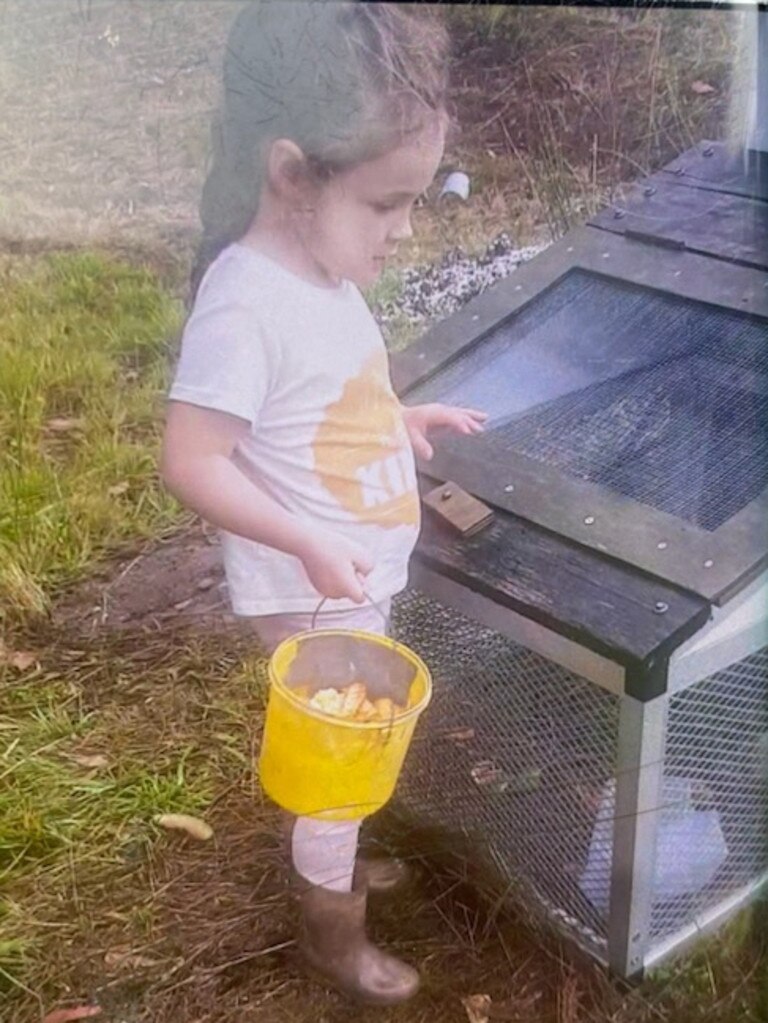 Missing four year old girl Shayla Phillip was last seen on Wednesday afternoon on the Tasman Peninsula. Picture: Supplied