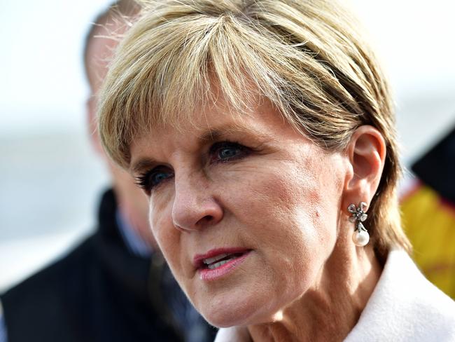 Julie Bishop has widened the attack on Anne Aly, taking aim at Bill Shorten and his ‘divided’ party. Picture: Keyn Stevens