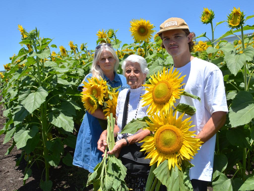 Lilyvale Flower Farm's impressive sunflower crop saw dozens flock to the sunny fields, including (from left) Sue Edwards, Lotte Schubert and Harrison Edwards on Sunday, December 22, 2024. Photo: Jessica Klein