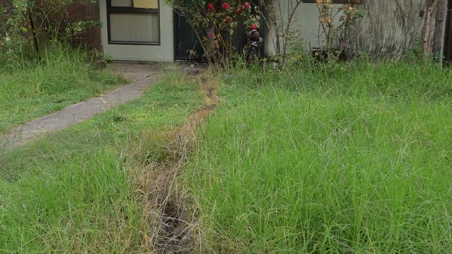 A long scorch mark in the grass outside the Western Sydney house. Picture: Simon Bullard