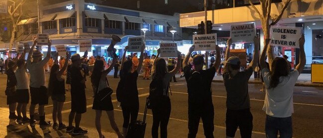 Animal rights activists in the CBD tonight to protest the use of deer in the annual Christmas parade. Photo. supplied.