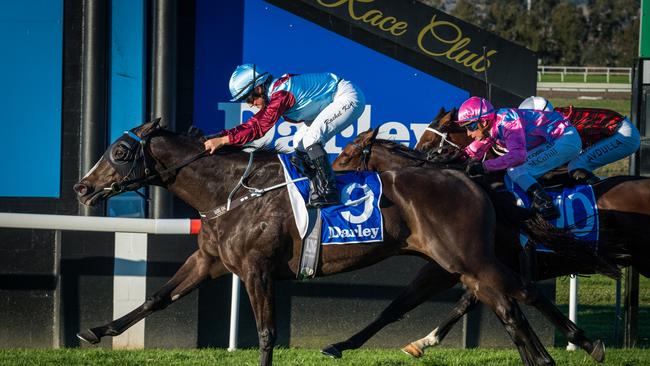 Laure Me In ridden by Rachel King wins the $200,000 Scone Cup for Warwick Farm trainer David Pfieffer on May 15, 2021. Photo: Katrina Partridge