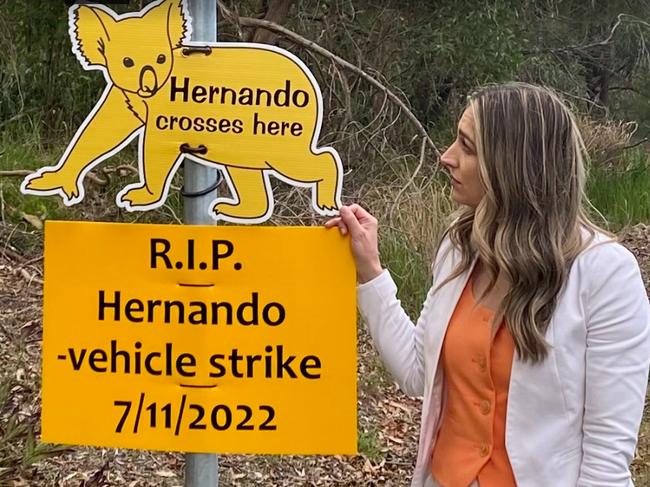 Currumbin MP Laura Gerber at the Tallebudgera Connection Road where koala ‘Hernando Half Penny’ was killed.