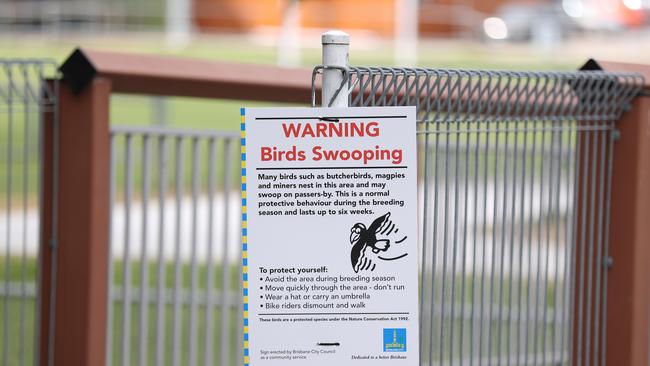 A magpie warning sign at Harry Kirby Park in Aspley. Picture: Tara Croser.