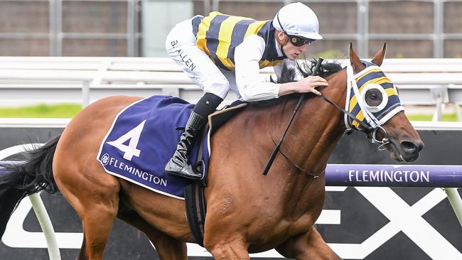 Amade is aiming to put his Adelaide Cup disappointment behind him with victory in the Sydney Cup. Picture: Brett Holburt / Racing Photos