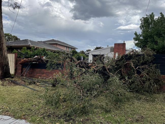 Storm damage at a Melbourne home during the wild February 2024 weather events.