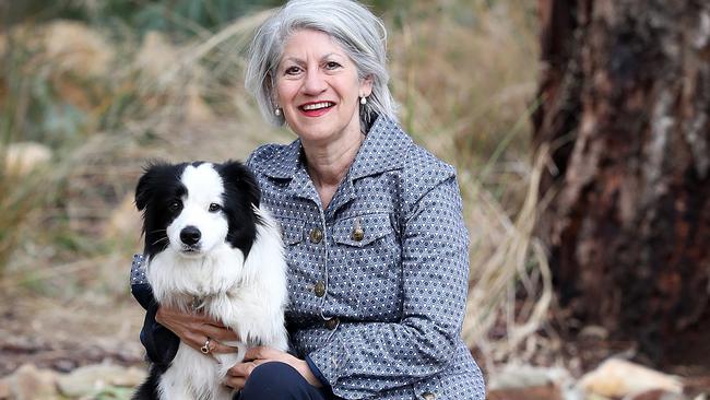 Adelaide Lord Mayor Sandy Verschoor enjoys visiting the parklands with her Border Collie, Scout. Picture: Sarah Reed