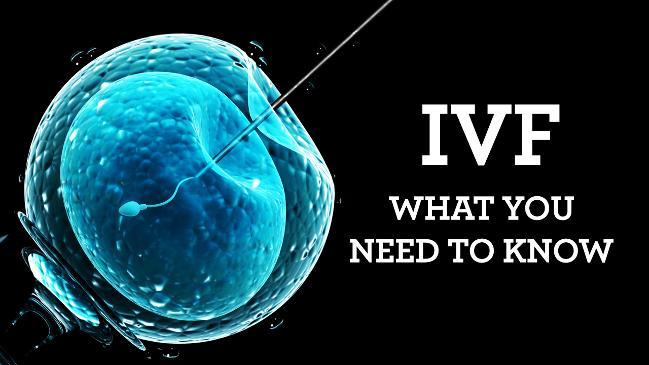 IVF - What you need to know