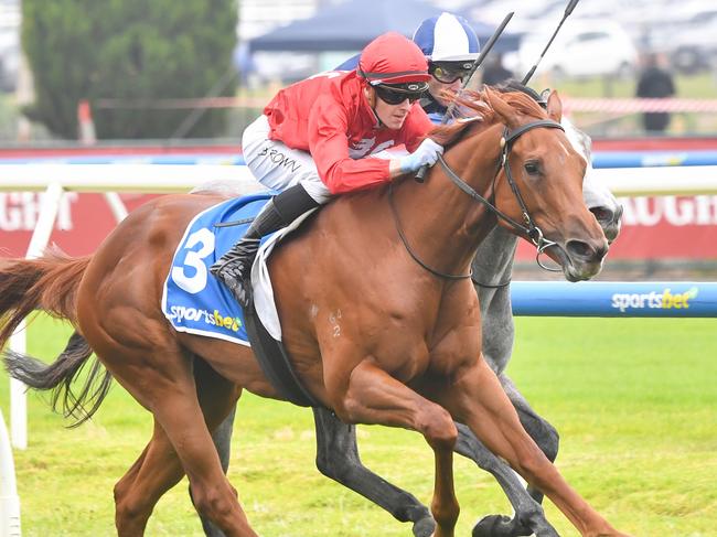 Palm Angel ridden by Ethan Brown wins the Sportsbet Blue Diamond Prelude (F) at Caulfield Racecourse on February 08, 2025 in Caulfield, Australia. (Photo by Pat Scala/Racing Photos via Getty Images)