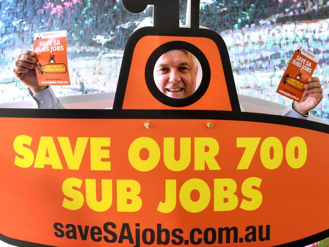 Senator Rex Patrick, dressed as a submarine looking for signatures for a petition in the East End.  Picture: Tricia Watkinson