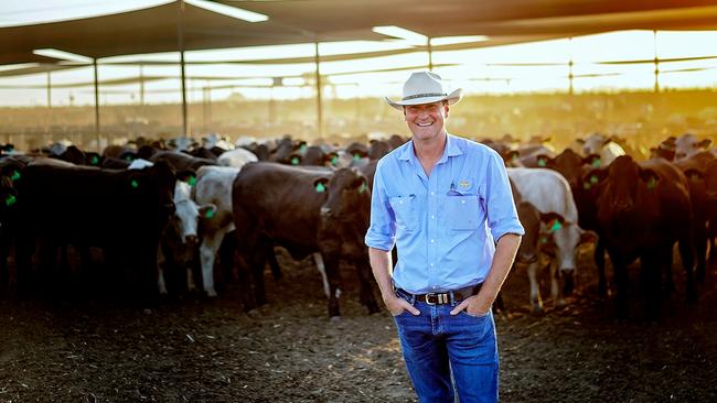 Still recovering: Australian Agricultural Company chief executive Hugh Killen says drought and the gulf flood slashed 2018-2020 calving, cutting back the volume of meat sold in the six months to September 30 this year by 8 per cent.