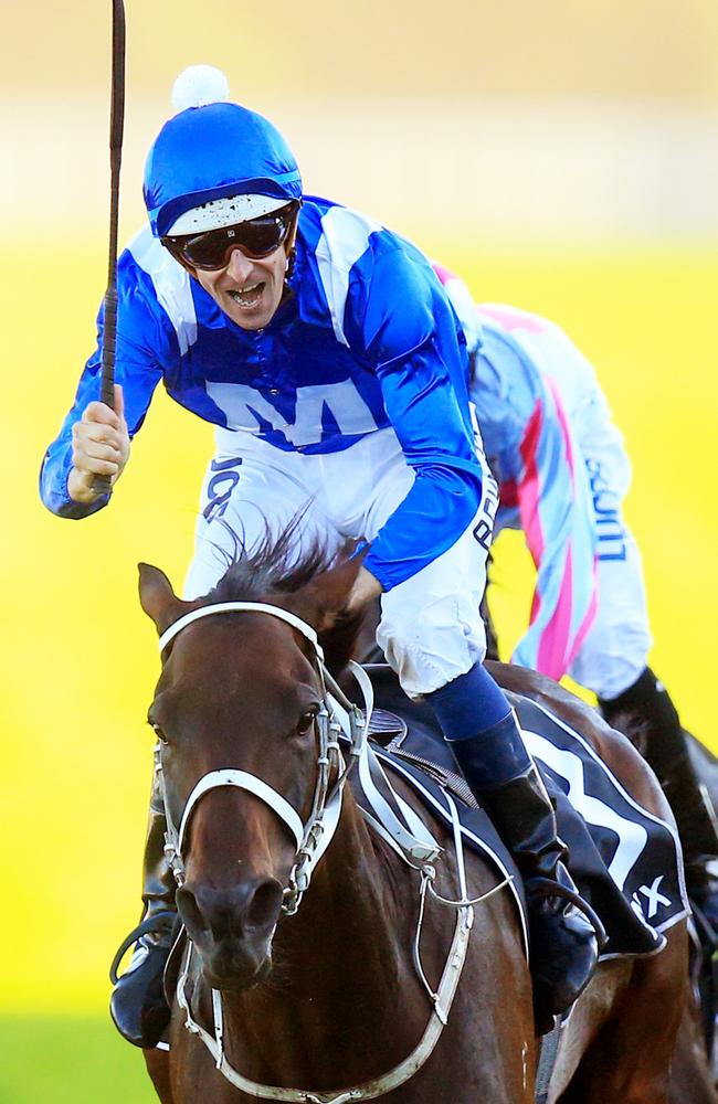 Mighty mare Winx scored seven straight wins this season. Picture: Jenny Evans