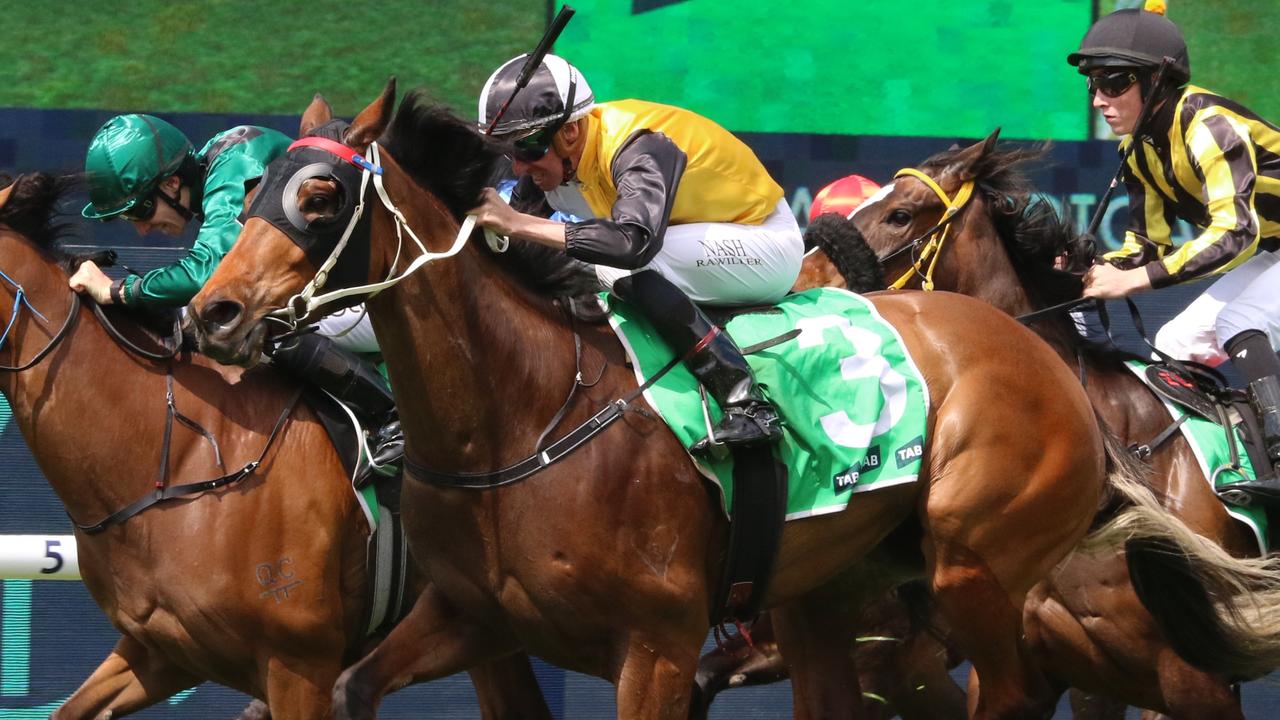 Rosehill preview: Mirfin pair ready to spring a surprise