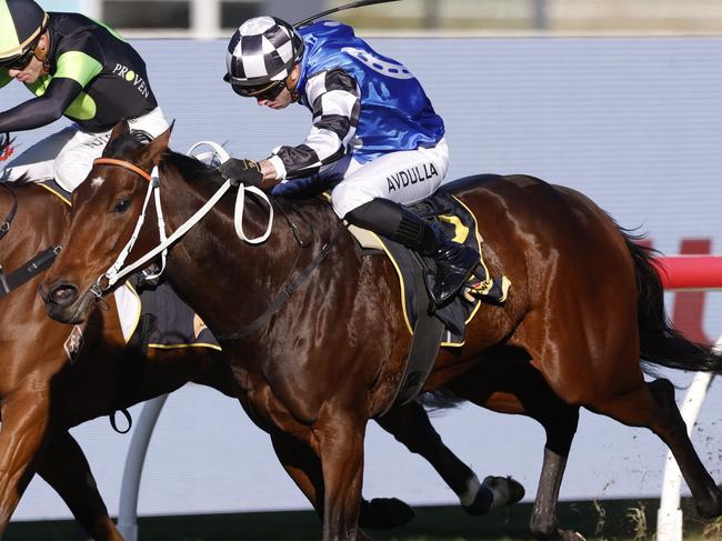 SYDNEY, AUSTRALIA - JUNE 04: Brenton Avdulla on Per Inaway   wins race 8 the Schweppes Handicap during Sydney Racing at Rosehill Gardens on June 04, 2022 in Sydney, Australia. (Photo by Mark Evans/Getty Images)