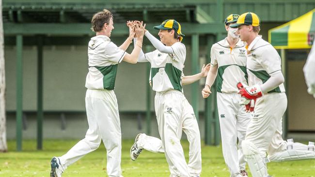 Villanova celebrate a wicket. (AAP Image/Richard Walker)