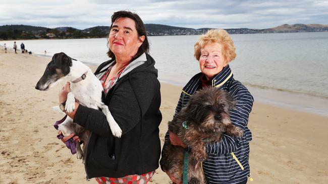 Hobart Dog Walking Association president Tanzi Lewis with Abbey the dog and Pat Rogers, of Howrah, with Gina the dog. Picture: Nikki Davis-Jones