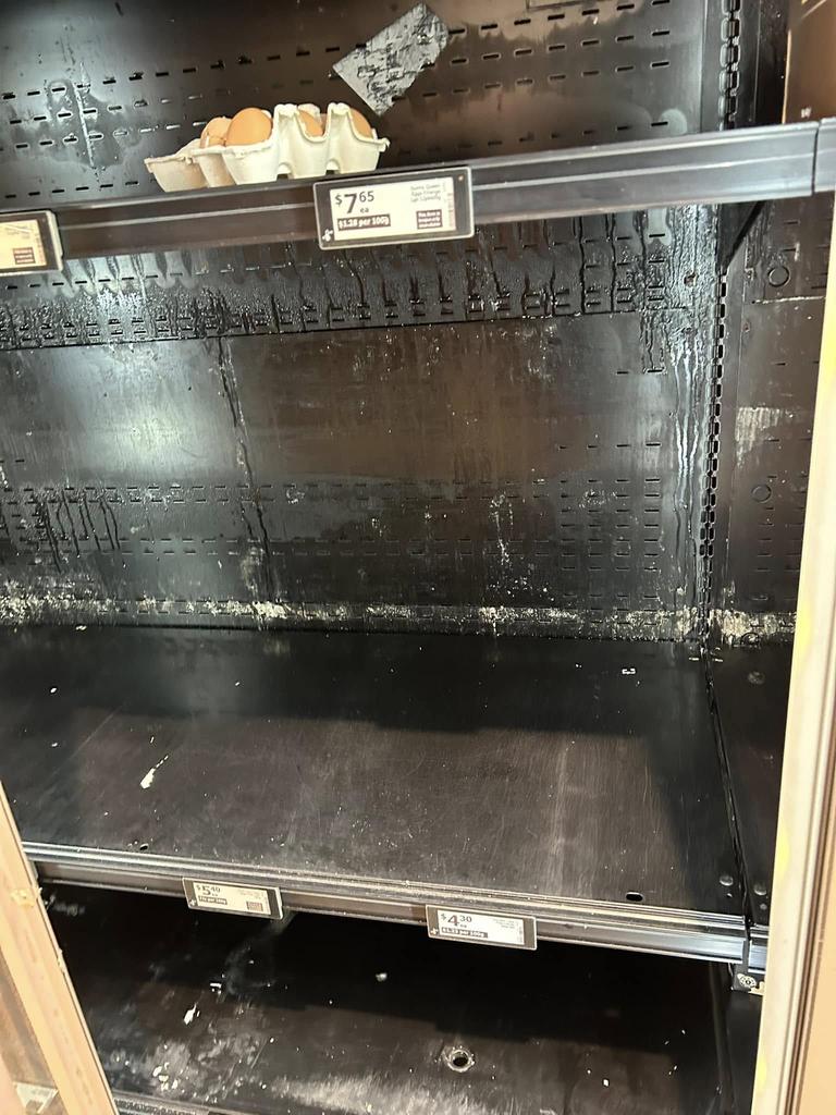 One carton of eggs left at Lismore Square Woolworths. Picture: Glenno Hargs