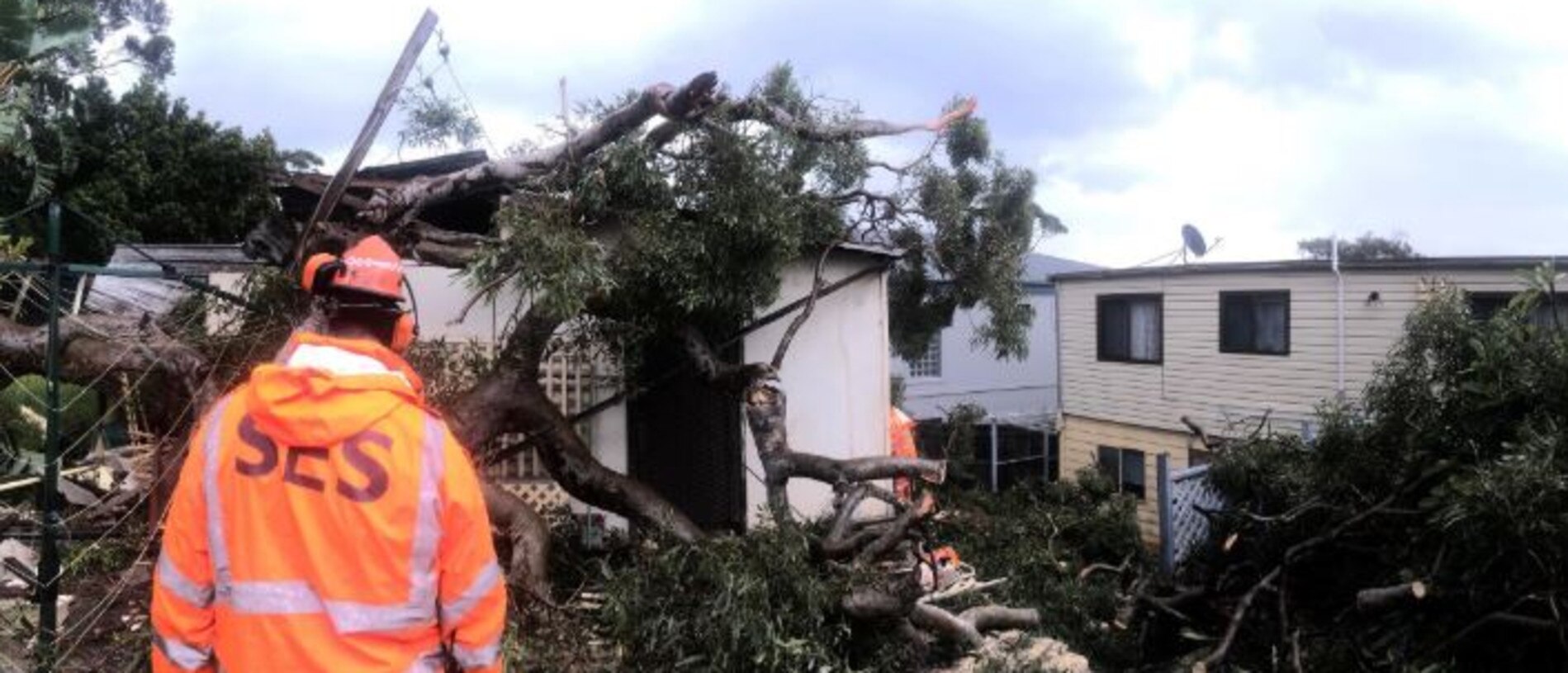 Trees downed in the Sutherland Shire. Picture: NSW SES