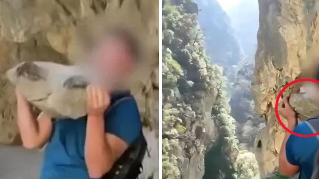 Tourist’s $350k fine over bizarre act