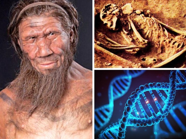 The skeletons are not related to any modern humans. Picture: Supplied