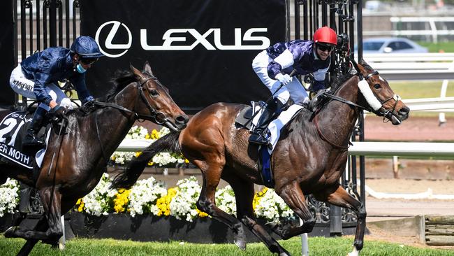 Twilight Payment won the 2020 Melbourne Cup. Photo: Natasha Morello/Racing Photos via Getty Images