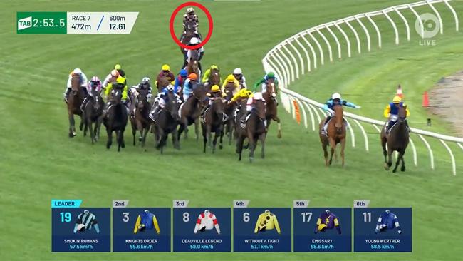 Interpretation failed to finish Melbourne Cup