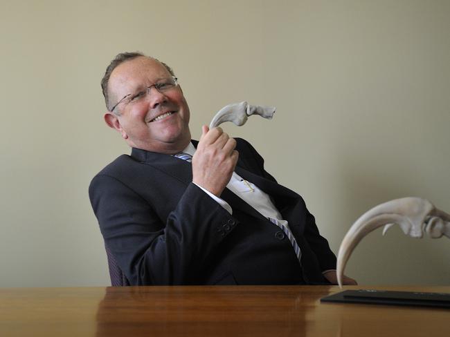 Former Myer chairman Bill Wavish at his office in Brisbane. Wavish presented Queensland Premier Bligh with a replica claw from a Australovenator Wintonensis (Carnivorous Dinosour) which was discovered at a dig in Winton, Victoria.