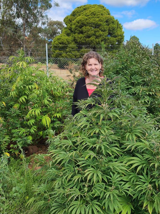 Professor Rachel Burton in a hemp trial crop at University of Adelaide Waite campus