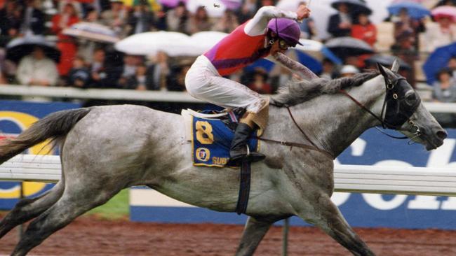 Subzero won the 1992 Melbourne Cup on a heavy track at Flemington.