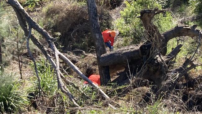 Workers and volunteers planted the new vegetation along the banks of the Mary River, which broke several times in 2022.