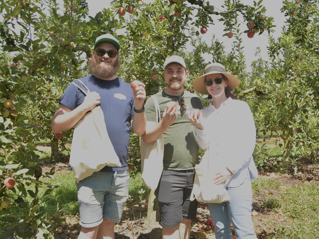 (From left) Andrew Mills, Andrew Woodward and Susan Woodward at Nicoletti Orchards during Stanthorpe's Apple and Grape Harvest Festival on Saturday, March 2, 2024. Photo: Jessica Klein