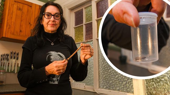 Georgina Johanson of East Lismore found herself covered in termites after innocently cleaning cobwebs in her kitchen.