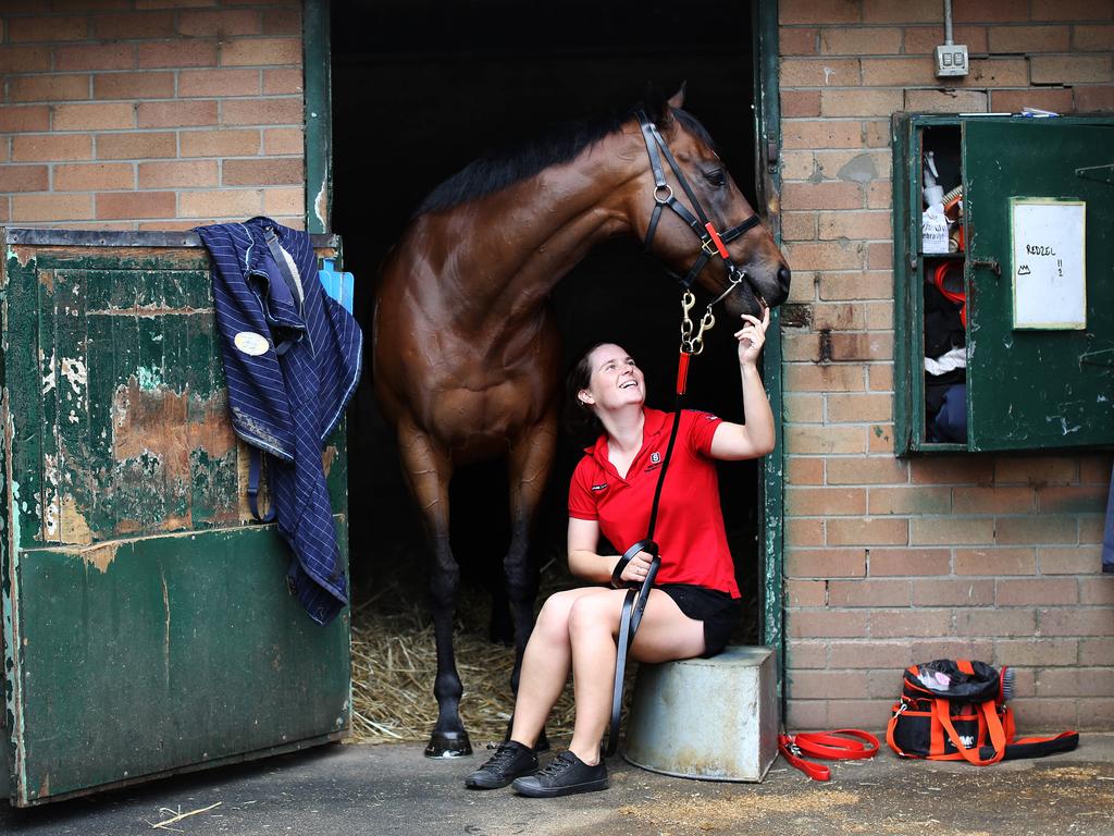 Redzel is chasing a three-peat. Picture: Nikki Short