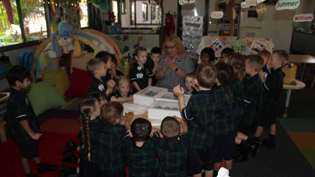 One lucky St Luke's Anglican School prep class started the day with cupcakes to celebrate the birthday of one of their classmates.