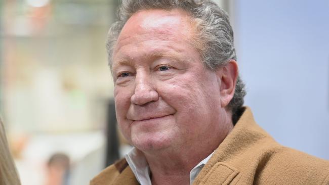 Fortescue Metals chairman Andrew Forrest has signed up to conduct a feasibility study for a hydro-electric power project in the Democratic Republic of Congo. Picture: Keryn Stevens