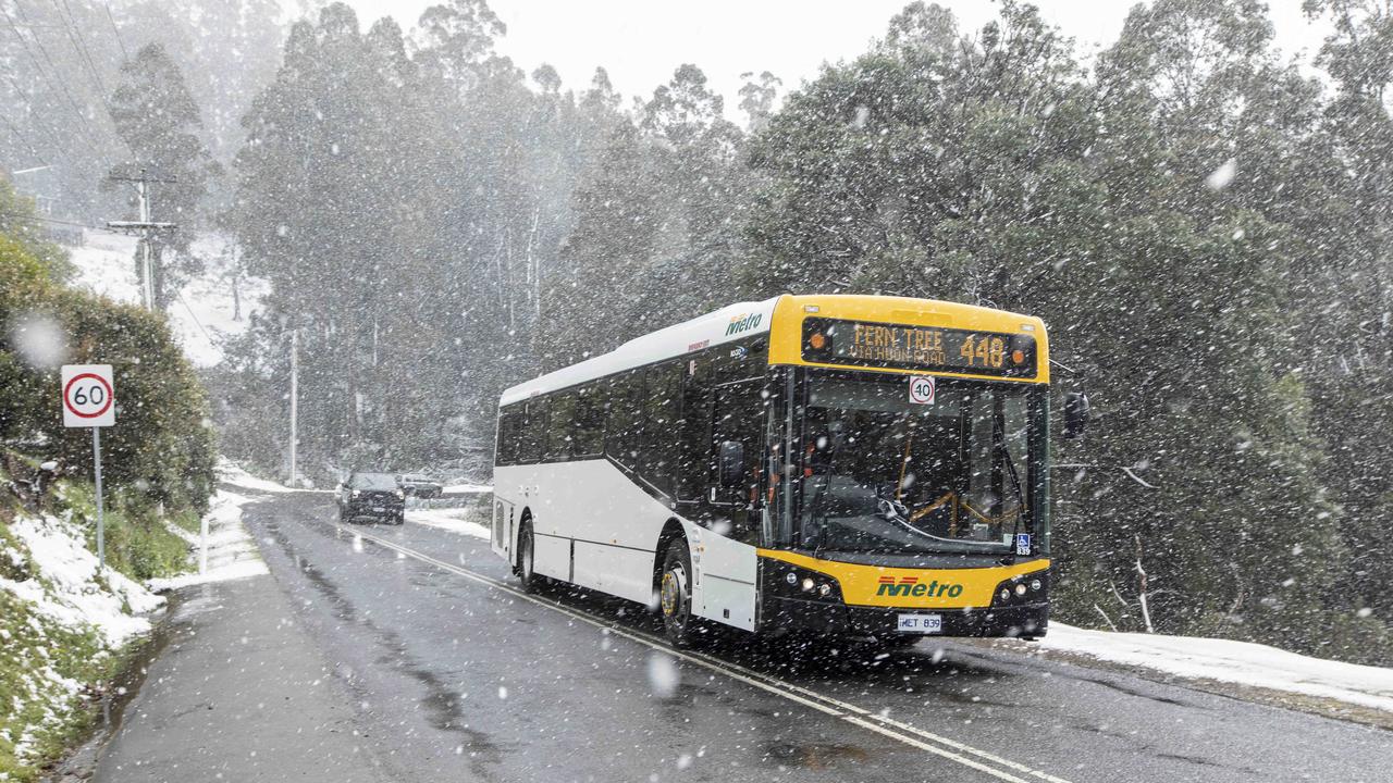 Snow down to around 200 metres around Ferntree. Picture Eddie Safarik