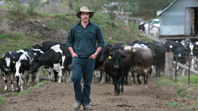 Tom Fairley on the Country Valley family dairy farm in Picton. Picture: Robert Pozo