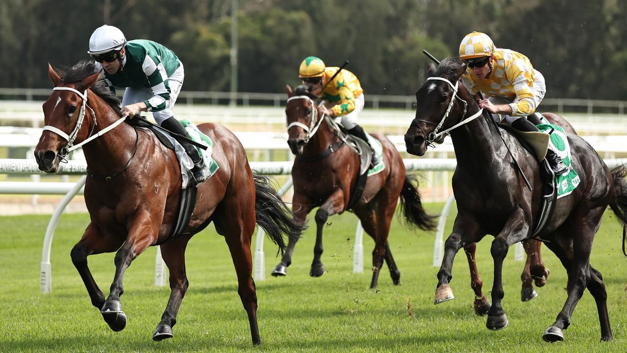 Higher Achievement on the cards for Waller colt